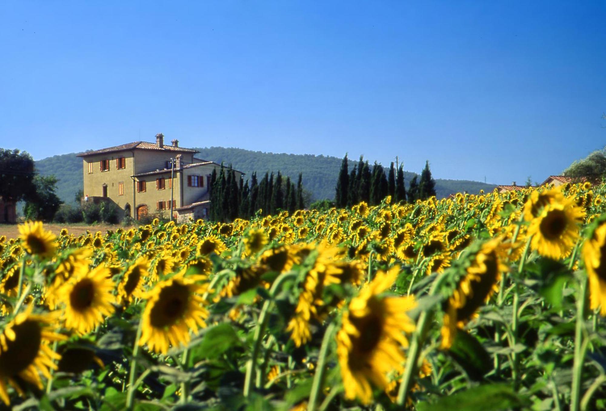 Agriturismo Palazzo Bandino - Wine Cellar, On Reservation Restaurant And Spa Chianciano Terme Buitenkant foto